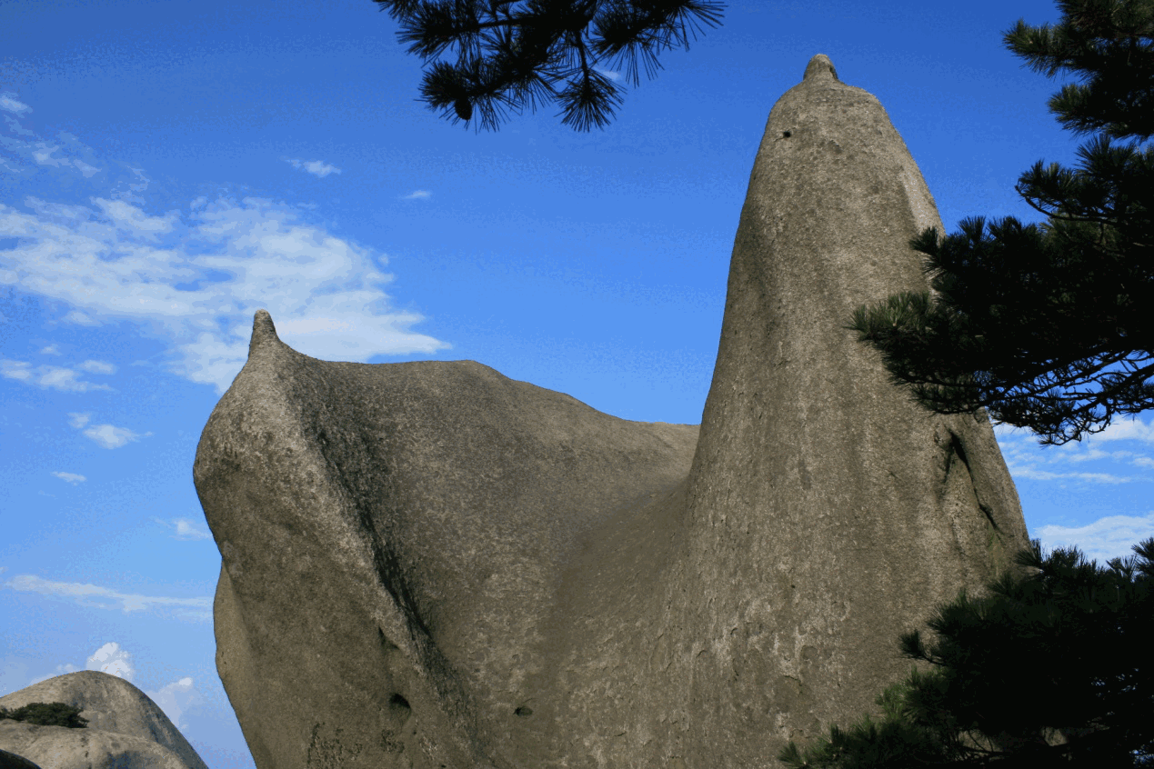 圖片3.png 圖片3.png